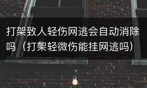 打架致人轻伤网逃会自动消除吗（打架轻微伤能挂网逃吗）