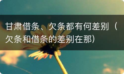甘肃借条、欠条都有何差别（欠条和借条的差别在那）