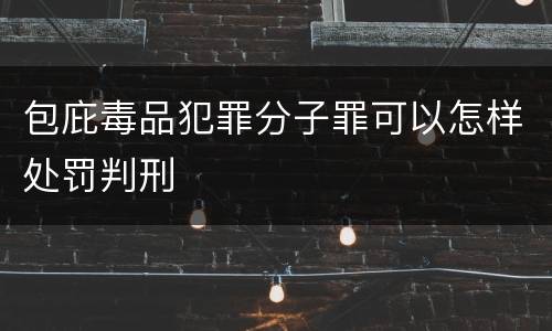 包庇毒品犯罪分子罪可以怎样处罚判刑