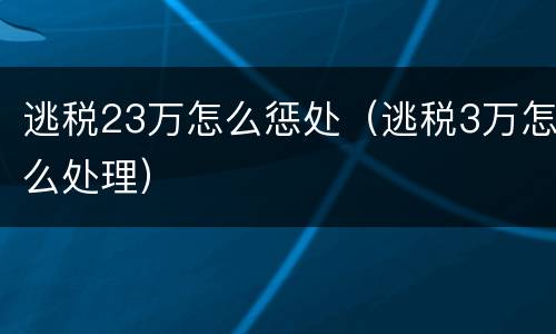 逃税23万怎么惩处（逃税3万怎么处理）