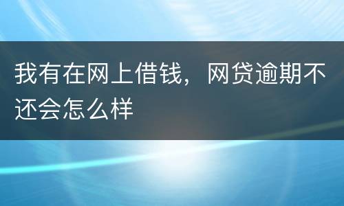 我有在网上借钱，网贷逾期不还会怎么样