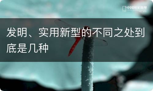 发明、实用新型的不同之处到底是几种
