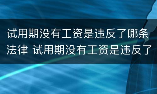 试用期没有工资是违反了哪条法律 试用期没有工资是违反了哪条法律规定