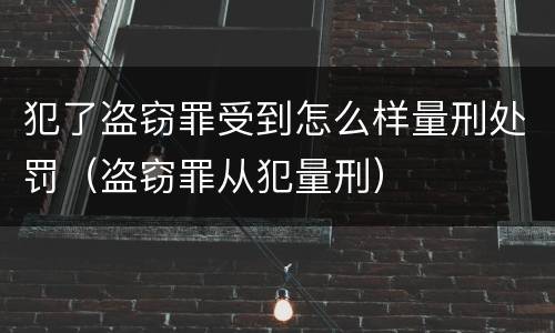 犯了盗窃罪受到怎么样量刑处罚（盗窃罪从犯量刑）