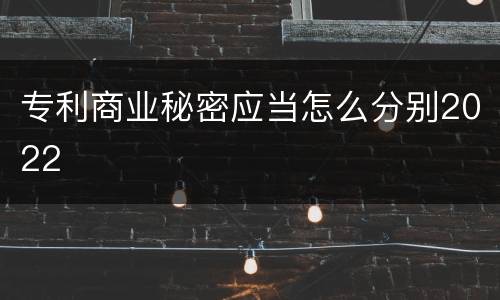 专利商业秘密应当怎么分别2022