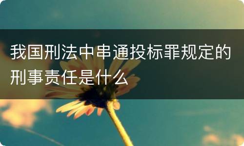 我国刑法中串通投标罪规定的刑事责任是什么