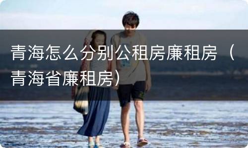 青海怎么分别公租房廉租房（青海省廉租房）