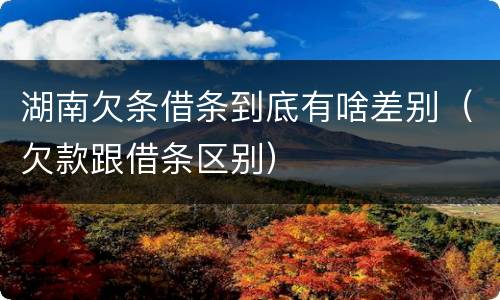 湖南欠条借条到底有啥差别（欠款跟借条区别）