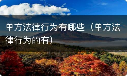 单方法律行为有哪些（单方法律行为的有）