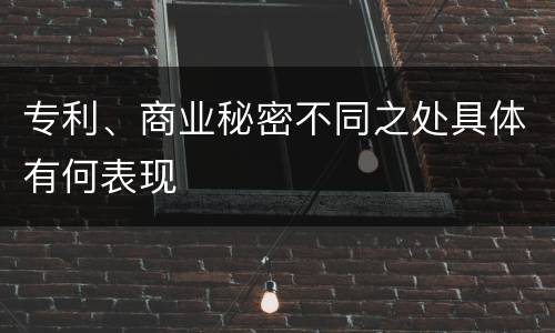 专利、商业秘密不同之处具体有何表现