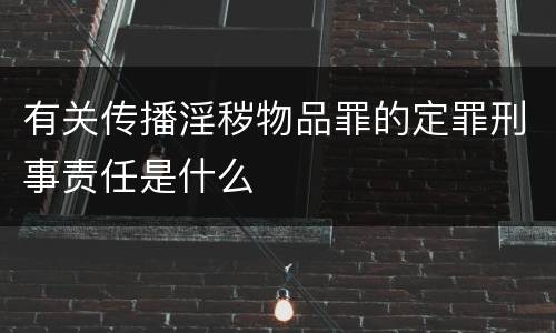 有关传播淫秽物品罪的定罪刑事责任是什么