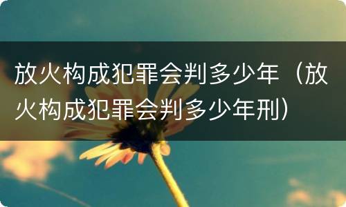 放火构成犯罪会判多少年（放火构成犯罪会判多少年刑）