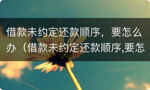 借款未约定还款顺序，要怎么办（借款未约定还款顺序,要怎么办理）