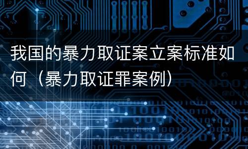 我国的暴力取证案立案标准如何（暴力取证罪案例）