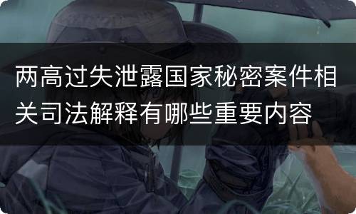 两高过失泄露国家秘密案件相关司法解释有哪些重要内容
