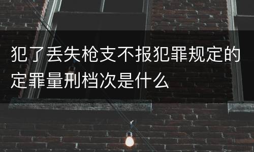 犯了丢失枪支不报犯罪规定的定罪量刑档次是什么