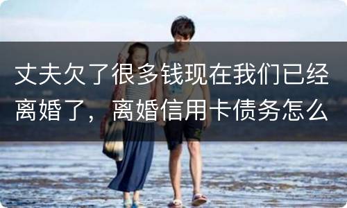 丈夫欠了很多钱现在我们已经离婚了，离婚信用卡债务怎么办