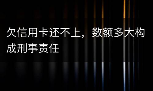 欠信用卡还不上，数额多大构成刑事责任