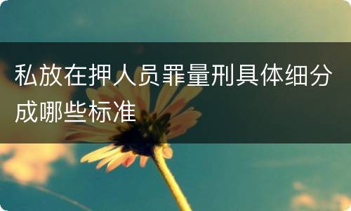 私放在押人员罪量刑具体细分成哪些标准