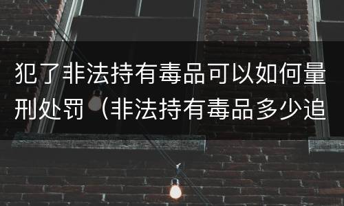 犯了非法持有毒品可以如何量刑处罚（非法持有毒品多少追究刑事责任）