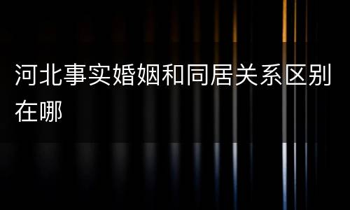 河北事实婚姻和同居关系区别在哪
