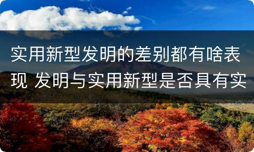 实用新型发明的差别都有啥表现 发明与实用新型是否具有实用性
