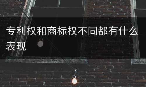 专利权和商标权不同都有什么表现