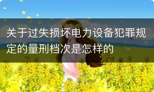 关于过失损坏电力设备犯罪规定的量刑档次是怎样的