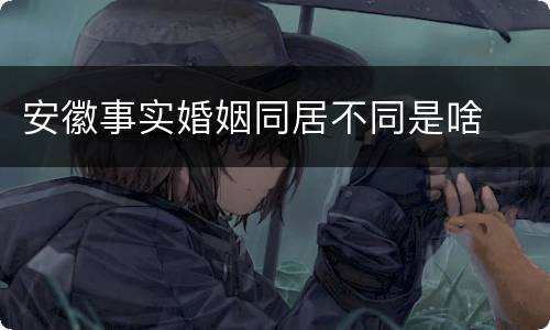 安徽事实婚姻同居不同是啥