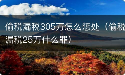 偷税漏税305万怎么惩处（偷税漏税25万什么罪）