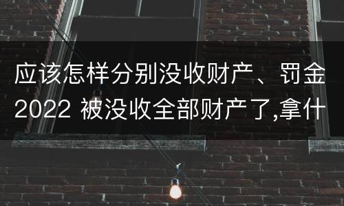 应该怎样分别没收财产、罚金2022 被没收全部财产了,拿什么交罚金