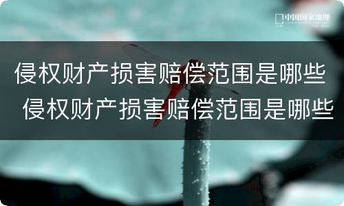 侵权财产损害赔偿范围是哪些 侵权财产损害赔偿范围是哪些条款
