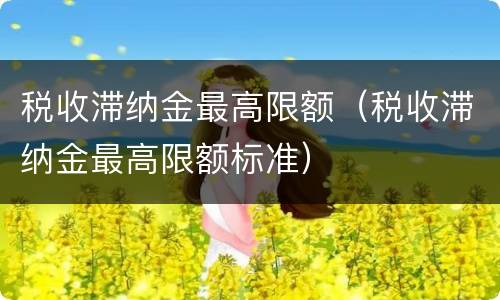 税收滞纳金最高限额（税收滞纳金最高限额标准）