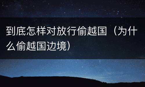 到底怎样对放行偷越国（为什么偷越国边境）