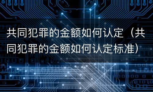 共同犯罪的金额如何认定（共同犯罪的金额如何认定标准）