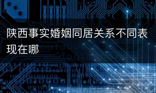 陕西事实婚姻同居关系不同表现在哪