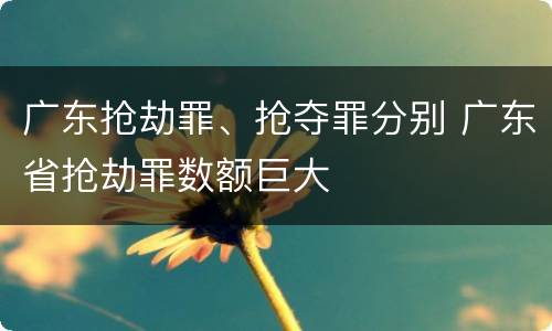 广东抢劫罪、抢夺罪分别 广东省抢劫罪数额巨大