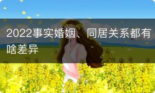 2022事实婚姻、同居关系都有啥差异