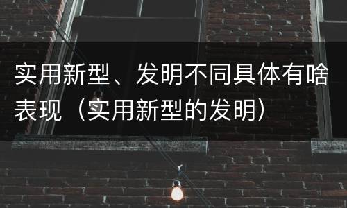 实用新型、发明不同具体有啥表现（实用新型的发明）