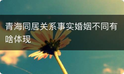 青海同居关系事实婚姻不同有啥体现