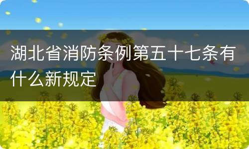 湖北省消防条例第五十七条有什么新规定