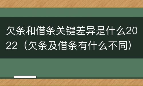 欠条和借条关键差异是什么2022（欠条及借条有什么不同）