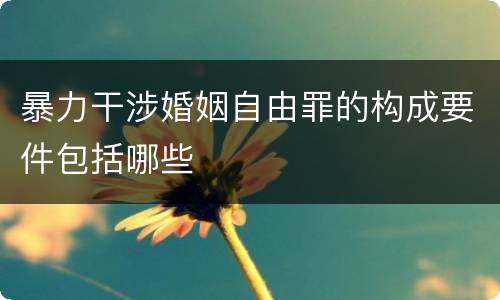 暴力干涉婚姻自由罪的构成要件包括哪些