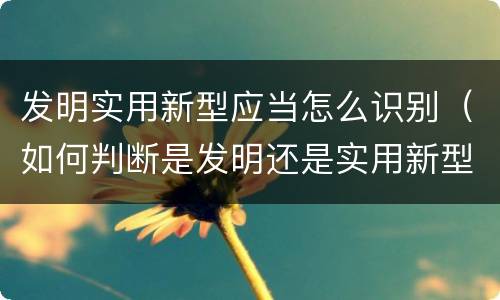 发明实用新型应当怎么识别（如何判断是发明还是实用新型）