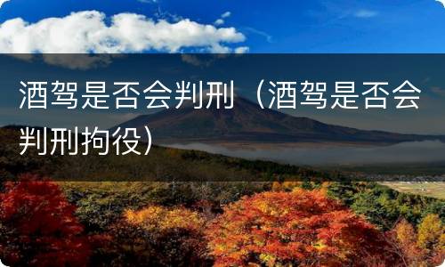 酒驾是否会判刑（酒驾是否会判刑拘役）