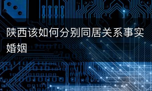 陕西该如何分别同居关系事实婚姻