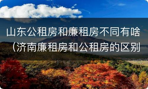山东公租房和廉租房不同有啥（济南廉租房和公租房的区别）