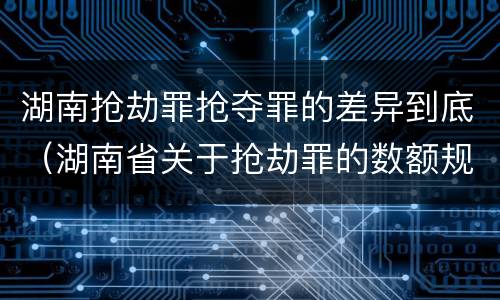 湖南抢劫罪抢夺罪的差异到底（湖南省关于抢劫罪的数额规定）