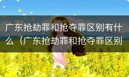 广东抢劫罪和抢夺罪区别有什么（广东抢劫罪和抢夺罪区别有什么关系）