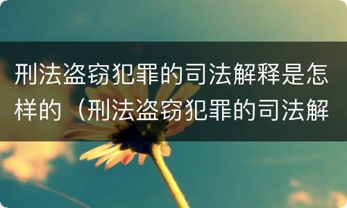 刑法盗窃犯罪的司法解释是怎样的（刑法盗窃犯罪的司法解释是怎样的规定）